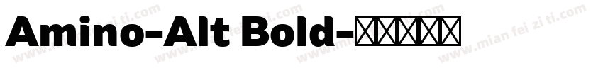 Amino-Alt Bold字体转换